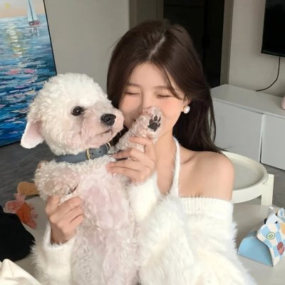副总统第二季
